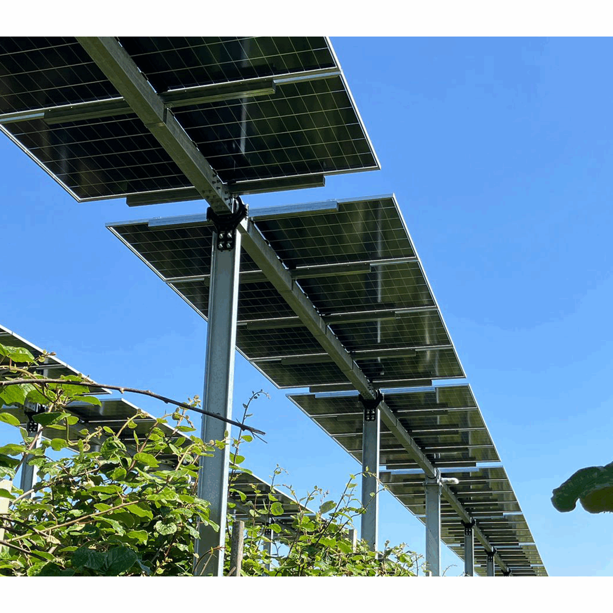 Immagine impianto agrivoltaico installato da ECO The Photovoltaic Group