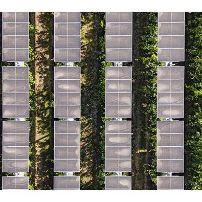 Immagine sull'Agrivoltaico in Tour