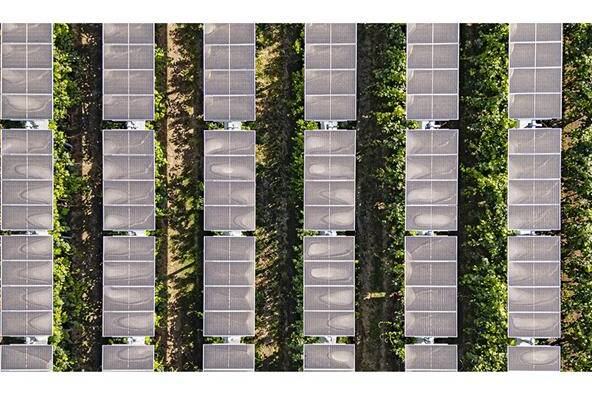 Immagine sull'Agrivoltaico in Tour