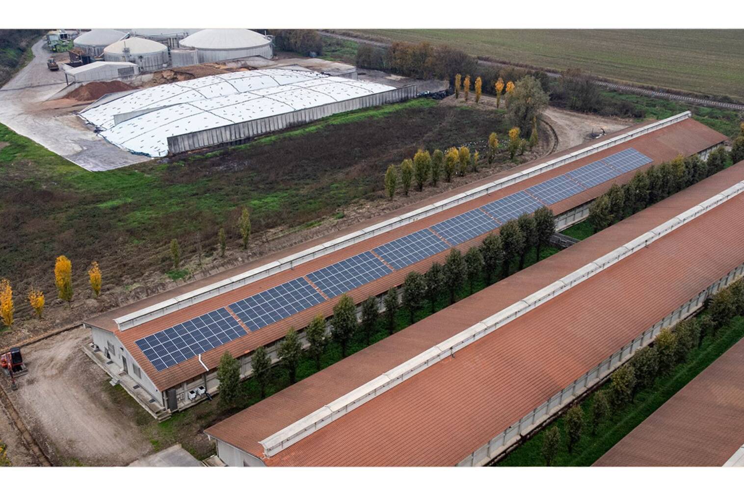 Bandi e incentivi per le imprese agricole fotovoltaico
