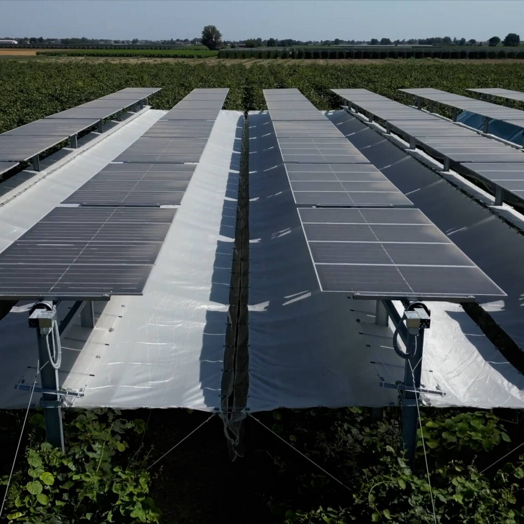 Impianto Agrivoltaico