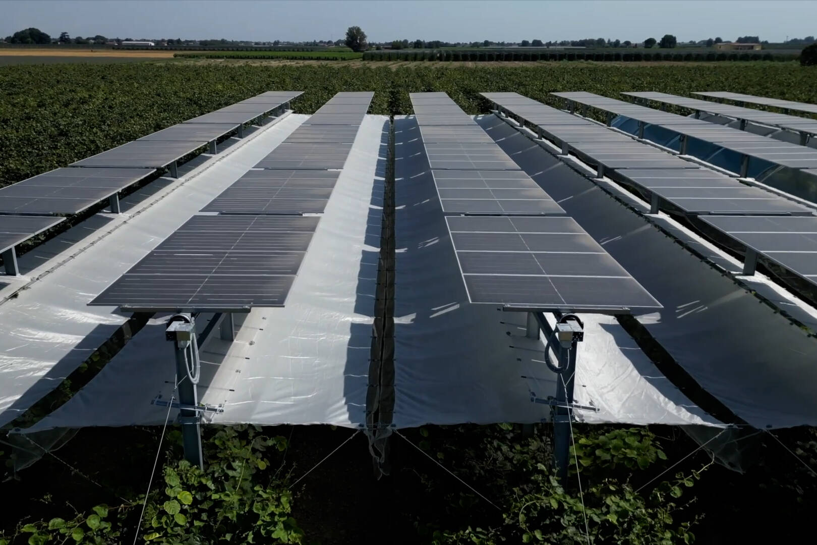 Impianto Agrivoltaico