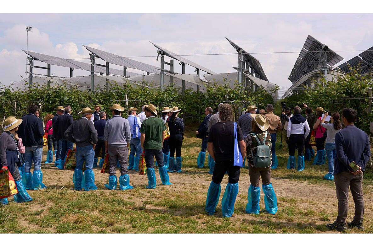 Agrivoltaico in Tour